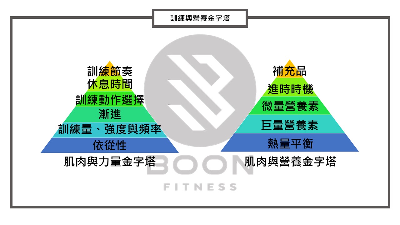 訓練與飲食金字塔