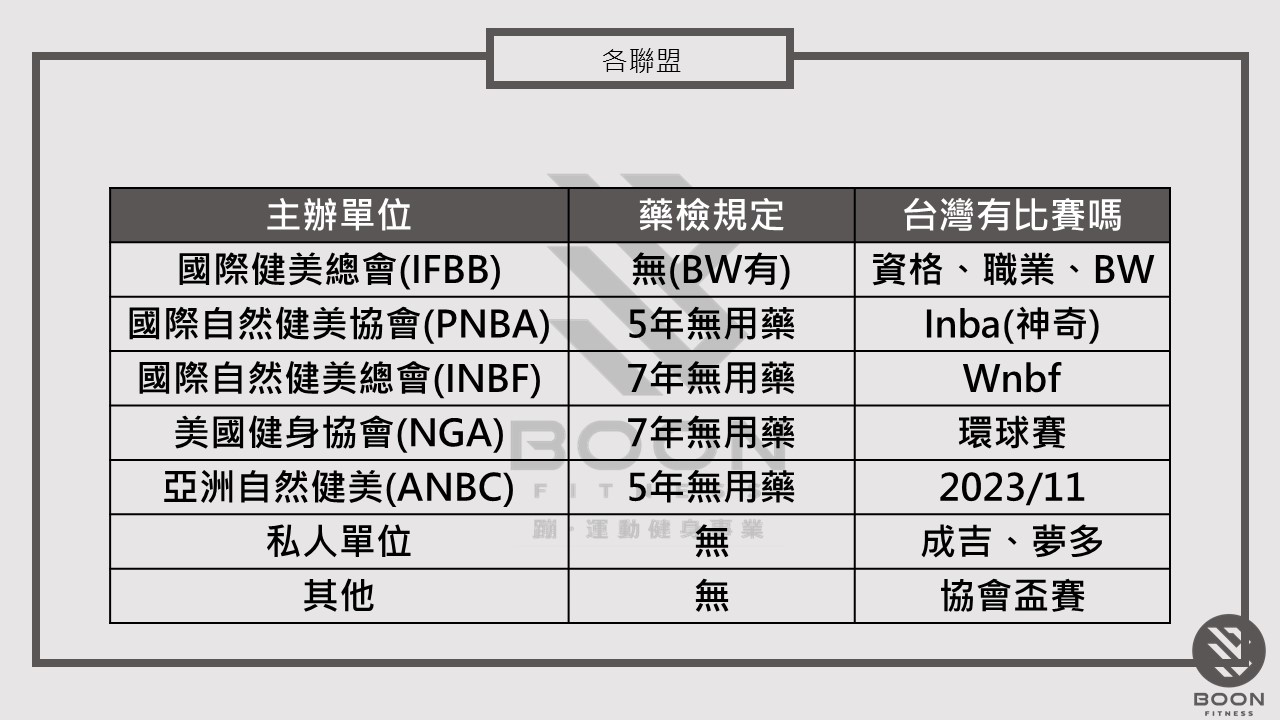 臺灣目前賽事與協會